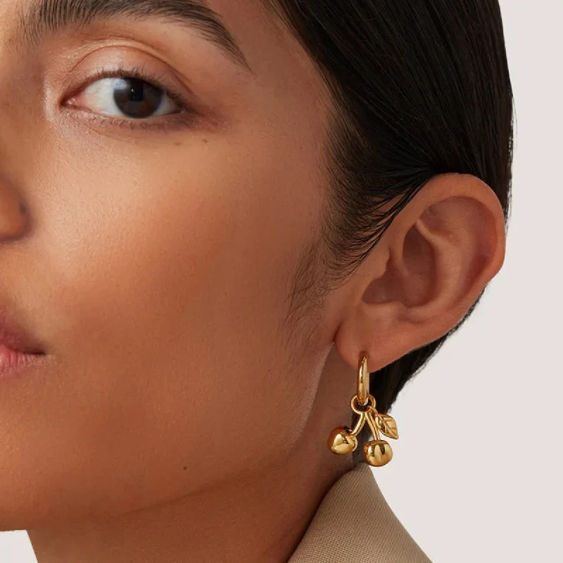Shop Dazzling Jewelry At The Best Prices HGA Stainless Steel Cherry Drop Earrings
