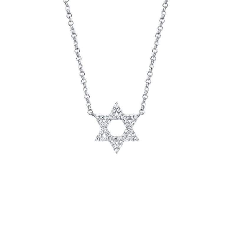 Luxury Jewelry Without The Luxury Price Tag 0.11 ctw Diamond Star of David Necklace