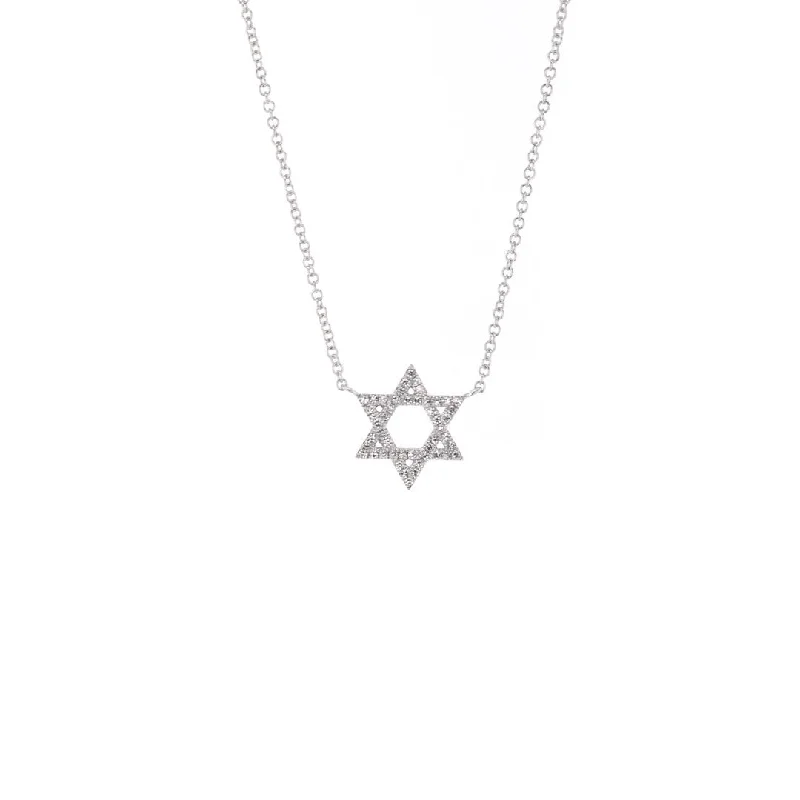 Limited-Time Offer On Elegant Jewelry Pieces 0.12 ctw Diamond Star of David Necklace