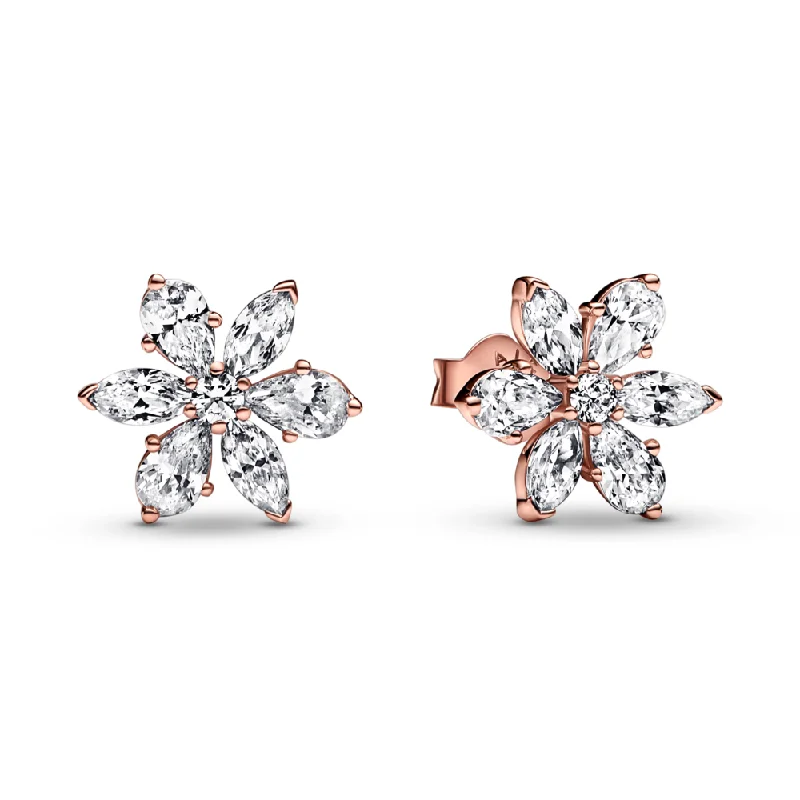 Breathtaking Jewelry At Limited-Time Savings Sparkling Herbarium Cluster Stud Earrings Breathtaking Jewelry At Limited-Time Savings Sparkling Herbarium Cluster Stud Earrings