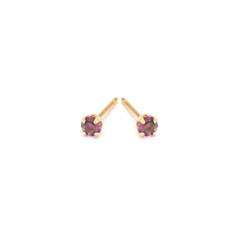 Premium Jewelry Now Available At Special Discounts February Birthstone 14k Gold Plated Stud Earrings