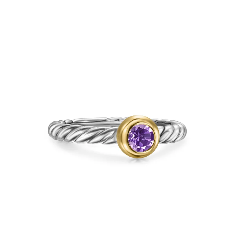 Everyday Jewelry Essentials Now On Sale Petite Cable Ring in Sterling Silver with 14K Yellow Gold and Amethyst\, 2.8mm